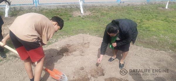 " Мектепке гүл сыйла"