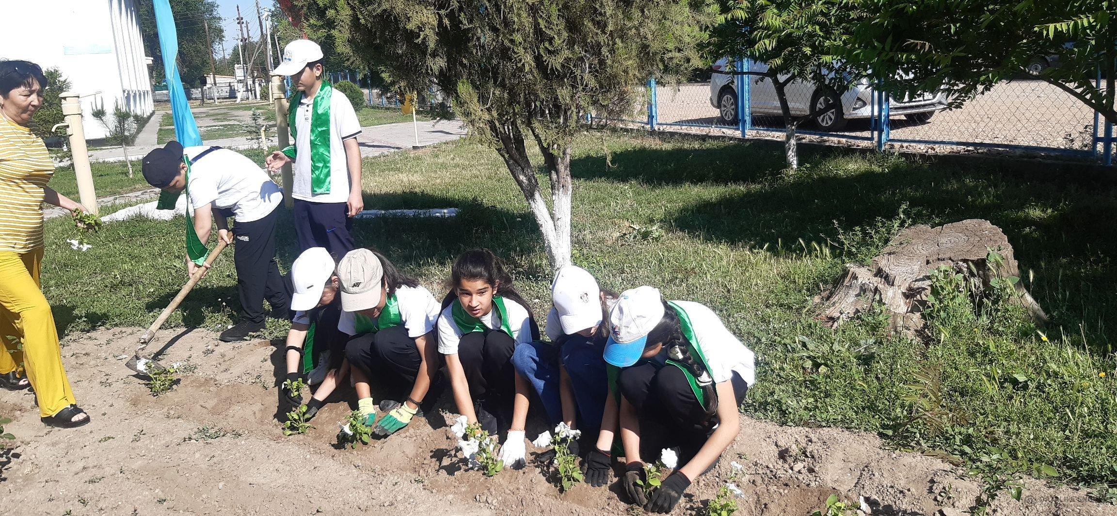 Демеушілердің көмегімен мектеп ауласына (петуния) гүлдері егілді.